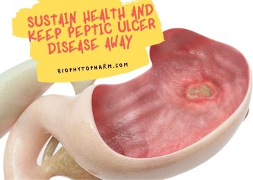 Sustain health and keep Peptic Ulcer Disease Away