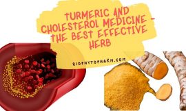 Turmeric and Cholesterol Medicine – The Best Effective Herb