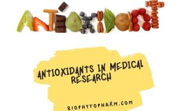 Antioxidants in Medical Research: Exploring the Benefits and Risks