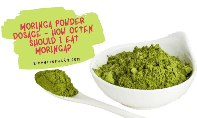 Moringa Powder Dosage - How Often Should I Eat Moringa