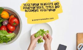 Vegetarian Benefits and Disadvantages, Types and Becoming Vegetarian