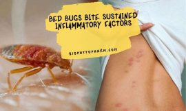 Bed Bugs Bite Sustained Inflammatory Factors