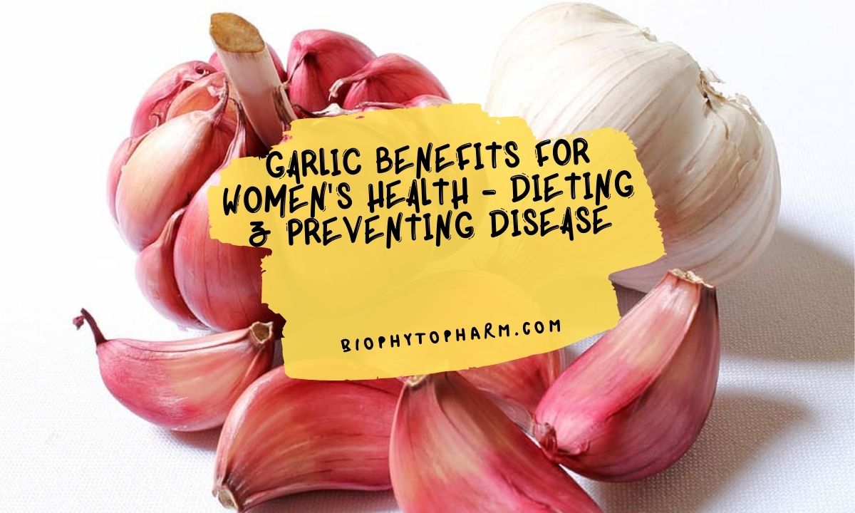 Garlic Benefits for Women's Health - Dieting & Preventing Disease