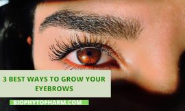 3 Best Ways to Grow Your Eyebrows