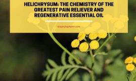 Helichrysum: The Chemistry of the Greatest Pain Reliever and Regenerative Essential Oil