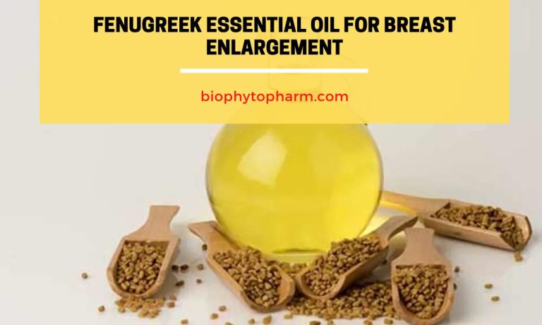Fenugreek Essential Oil for Breast Enlargement