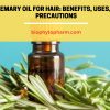 Rosemary Oil for Hair: Benefits, Uses, and Precautions