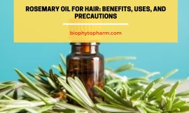 Rosemary Oil for Hair: Benefits, Uses, and Precautions