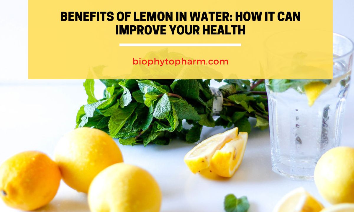 Benefits of Lemon in Water How It Can Improve Your Health