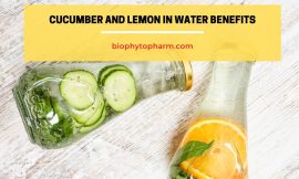Cucumber and Lemon in Water Benefits