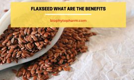 Flaxseed What Are The Benefits
