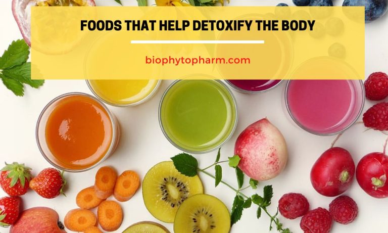 Foods That Help Detoxify the Body