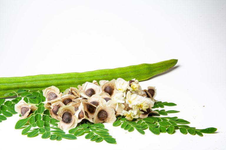 Eating Moringa Seeds: The Ultimate Guide to Health and Wellness