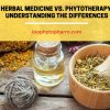 Herbal Medicine vs Phytotherapy: Understanding the Differences