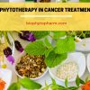 Phytotherapy in Cancer Treatment