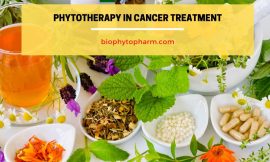 Phytotherapy in Cancer Treatment