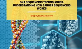 DNA SEQUENCING TECHNOLOGIES: UNDERSTANDING HOW SANGER SEQUENCING WORKS