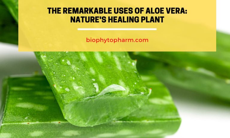 The Remarkable Uses of Aloe Vera Nature's Healing Plant