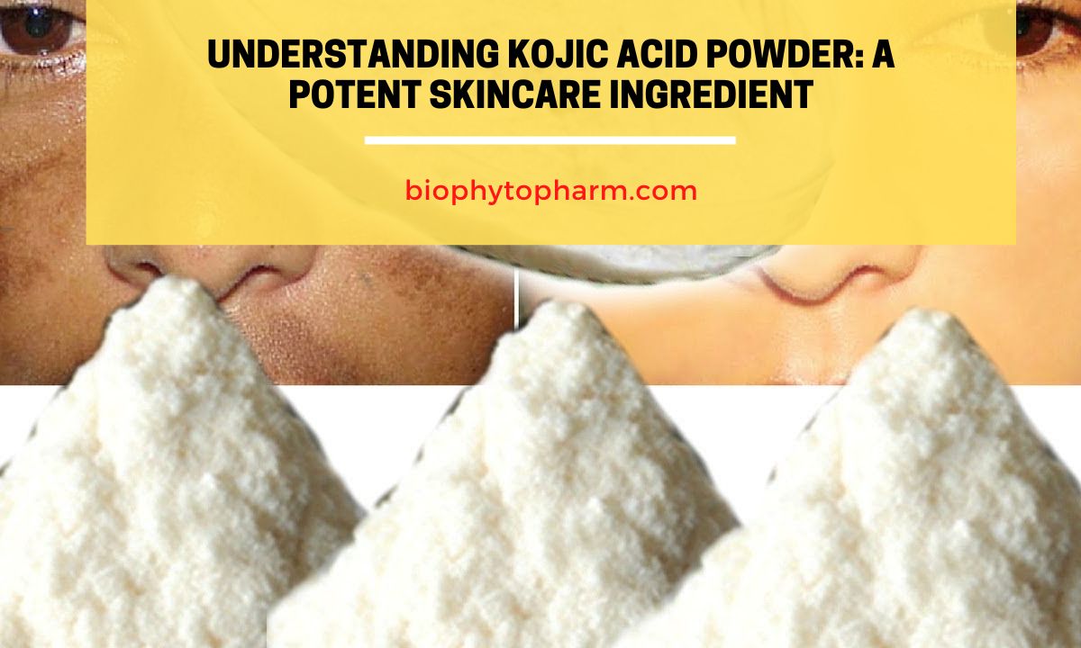 Understanding Kojic Acid Powder A Potent Skincare Ingredient