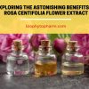 Exploring the Astonishing Benefits of Rosa Centifolia Flower Extract