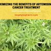 Maximizing the Benefits of Artemisinin in Cancer Treatment