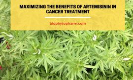 Maximizing the Benefits of Artemisinin in Cancer Treatment